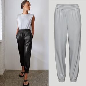BABATON Aritzia Zedel Vegan Leather Jogger Pant in Marble Grey size 2XL